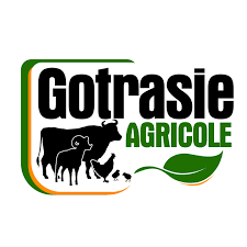 Gotrasie